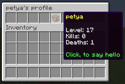 Player's profile menu example